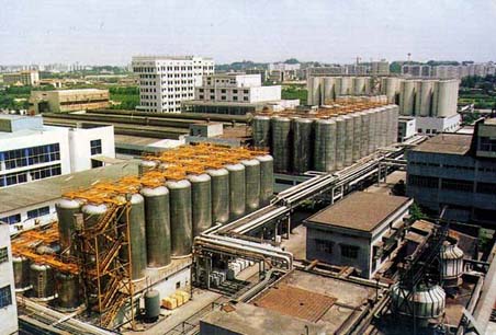 珠江啤酒调低发行价保增发