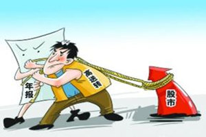 2013年上市公司年报