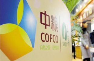 农业银行去年净利润1662.1亿元 多家公司公布