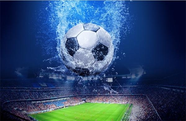 中粮海外并购提速宣战四大粮商 国家战略为其