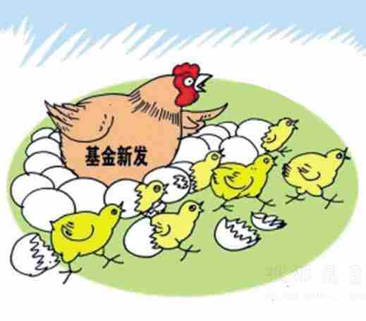 8月新基金发行规模仅208.45亿份 创14个月新低