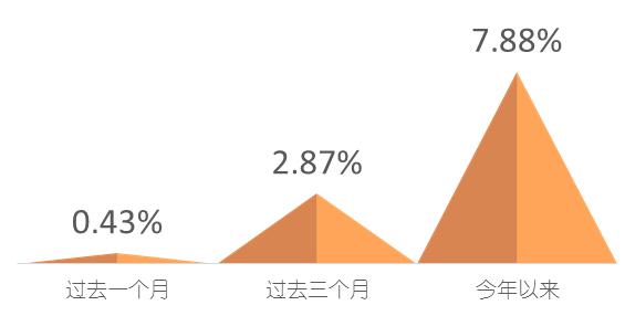 收入证明_息票收入