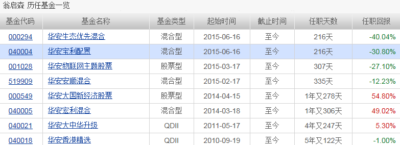 置:子市场投资机会_华安宝利配置(of040004)股