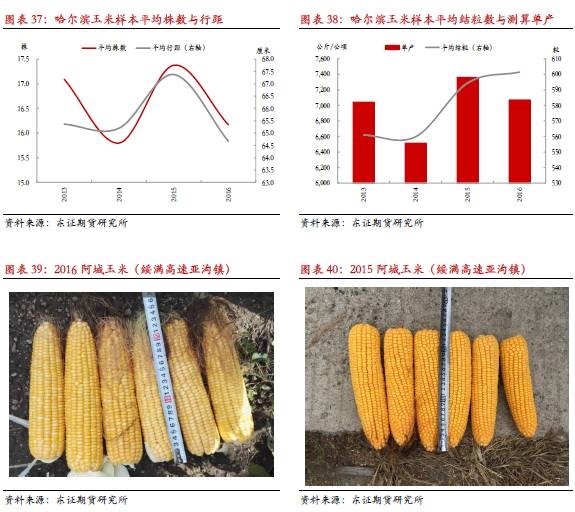 【调研报告-大豆玉米】黑龙江单产继续下降 市场结构仍供过于求