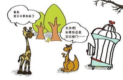 用袋鼠和笼子的故事告诉你失败的原因_手机东方财富网