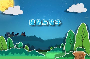 袋鼠与笼子的道理_动物世界