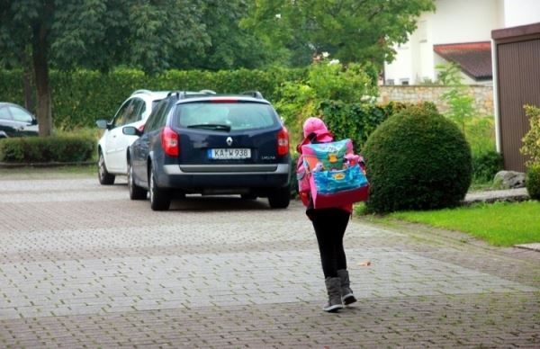 德国人与多种动物_德国人年收入(3)