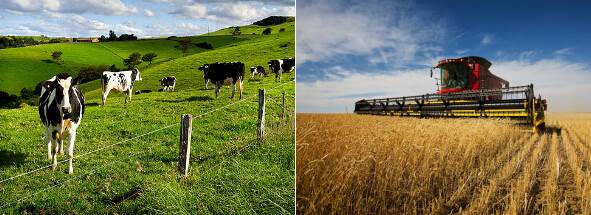 澳洲农业产值预计突破600亿 农产出口持稳-ABARES