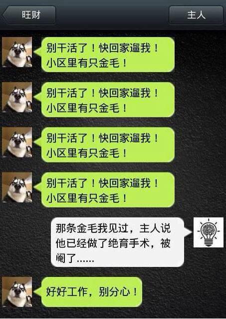 微信一女子说,假如将来身无分文,无家可归,谁会收留她