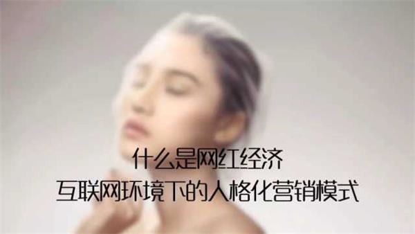 收入证明_女性站 淘宝 收入(3)
