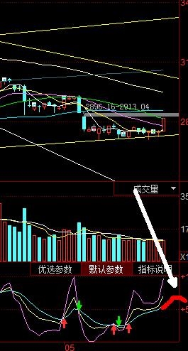 查看更多精彩图片 