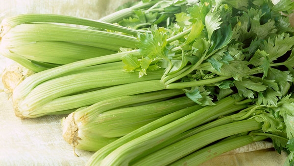 海鲜过敏引起荨麻疹_妈妈吃海鲜4个月宝宝患湿疹母乳期尽量避免易过敏食物