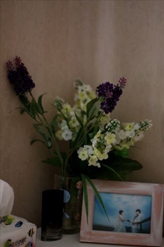 30多平米的家所有的爱