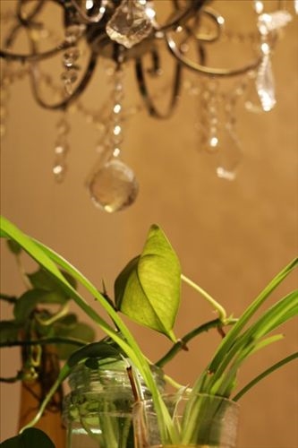 30多平米的家所有的爱