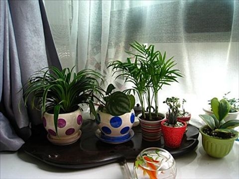 30多平米的家所有的爱