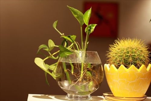 30多平米的家所有的爱