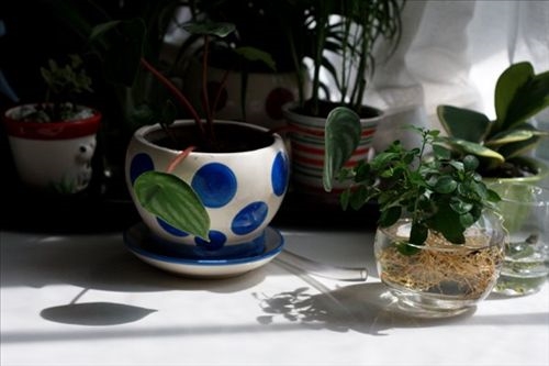 30多平米的家所有的爱