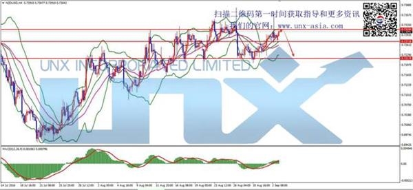 NZD NZD