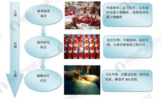 干细胞产业化之路任重道远 机遇与挑战并存