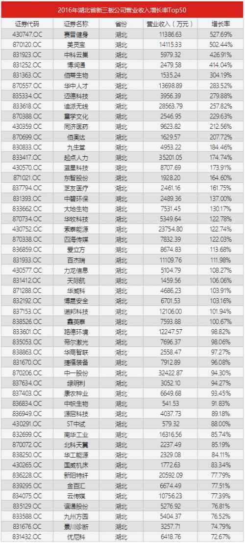收入支出明细表模板_营业收入生产支出