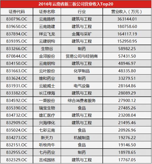 收入证明_营业收入查询(2)