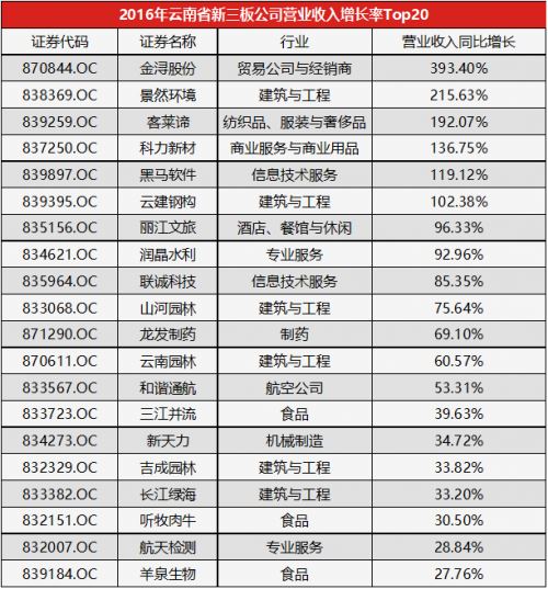 营业执照英文翻译模板_营业收入增长率英文(2)