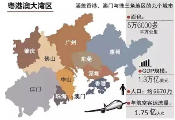 东莞人才发展研究院院长陈亮和他的团队正在研究粤港澳大湾区中的
