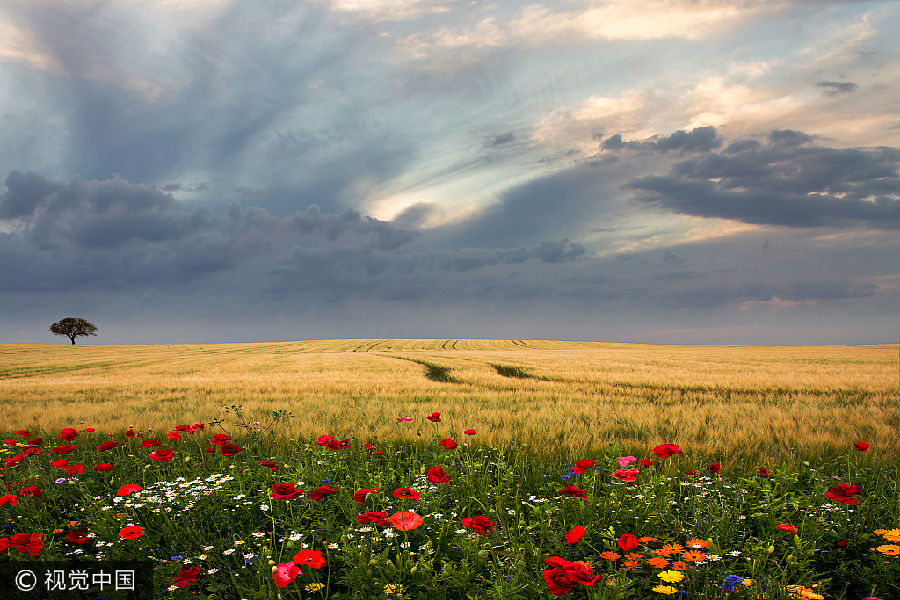 VCG41619328822风景。jpg