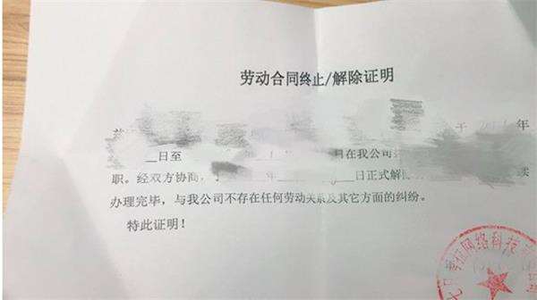 由知情人士提供的七只考拉内部流出的离职证明