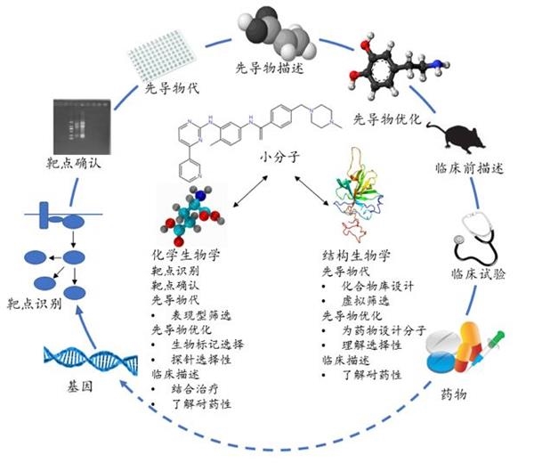 现代药物研发全流程