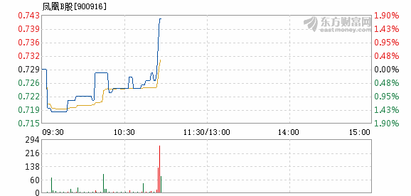 凤凰b股2月23日快速反弹