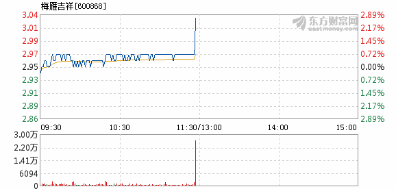 梅雁吉祥7月18日快速上涨