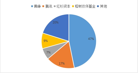 图4:拼多多各方持股比例