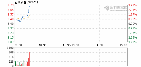 五洲新春1月14日快速上涨