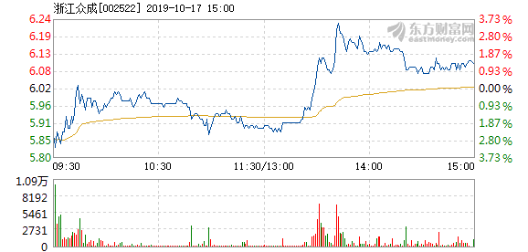 浙江众成10月17日快速上涨