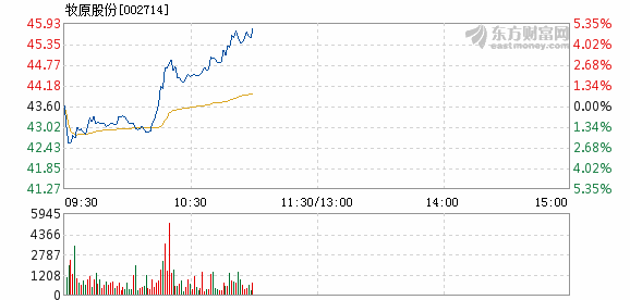 牧原股份2月19日盘中涨幅达5%