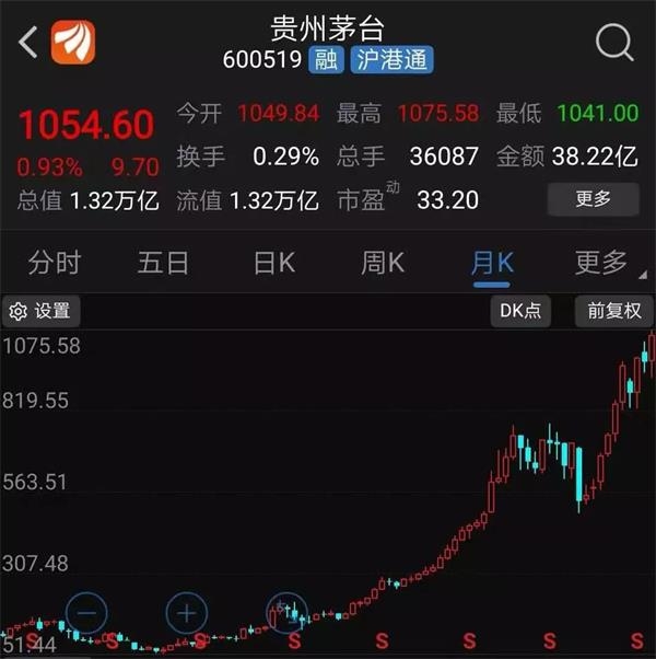 酒王飞天若要持有10年你会选择哪些股票