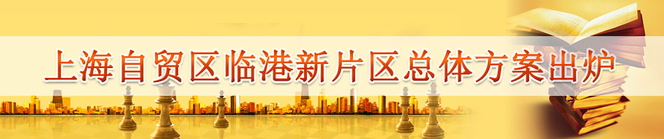 上海自贸区临港新片区总体方案出炉