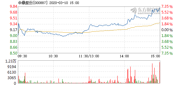 中鼎股份3月10日快速上涨