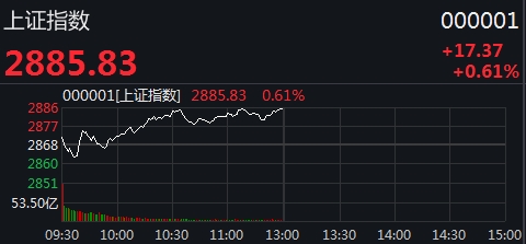 科技股大跌 中芯国际高位跳水10%