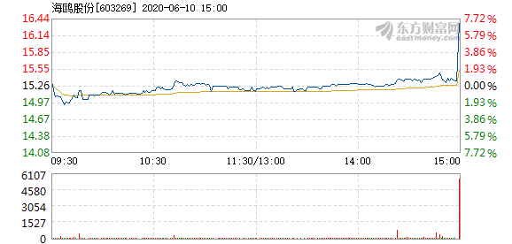 海鸥股份6月10日盘中涨幅达5%_海鸥股份(603269)股吧