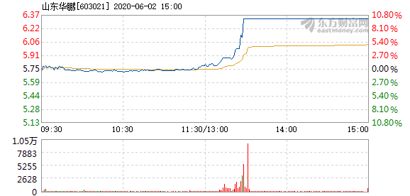 山东华鹏6月2日盘中涨停