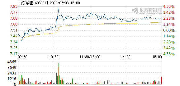 山东华鹏7月3日快速反弹