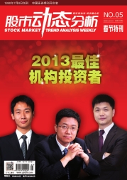 2013最佳机构投资者