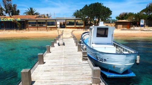 世界最小王国:11位居民拥有1百只羊