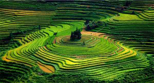 它用无数生机勃勃的绿色圆环层层环绕住了越南孟康县(muong