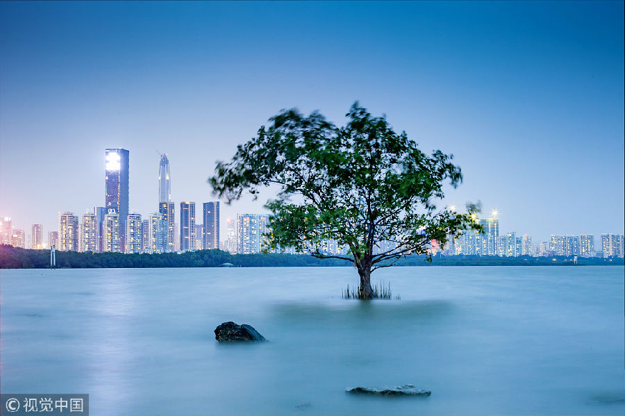 中国人均收入城市_中国城市旅游收入(2)