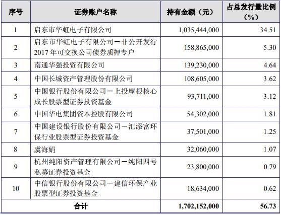 (林洋转债前十名可转换公司债券持有人及其持有量)