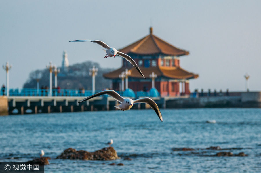 我国五大治安最好的城市 有些人去了之后就不