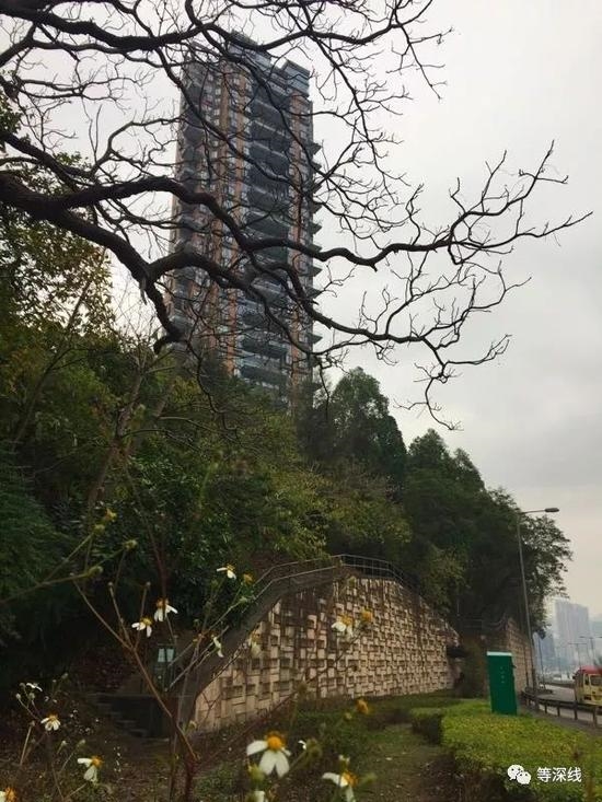 赵薇黄有龙在香港居住的皇璧大厦。 赵薇黄有龙在香港居住的皇璧大厦。